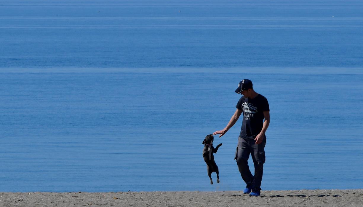 Una persona pasea con su perro por la Playa de La Térmica en Almería, en la fase 1 de la desescalada del confinamiento en la crisis sanitaria por Covid-19 y que pasa a fase 2 el lunes