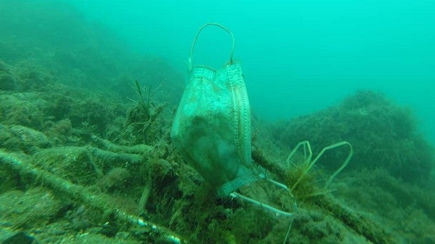 La basura de la pandemia infesta ya mar y tierra