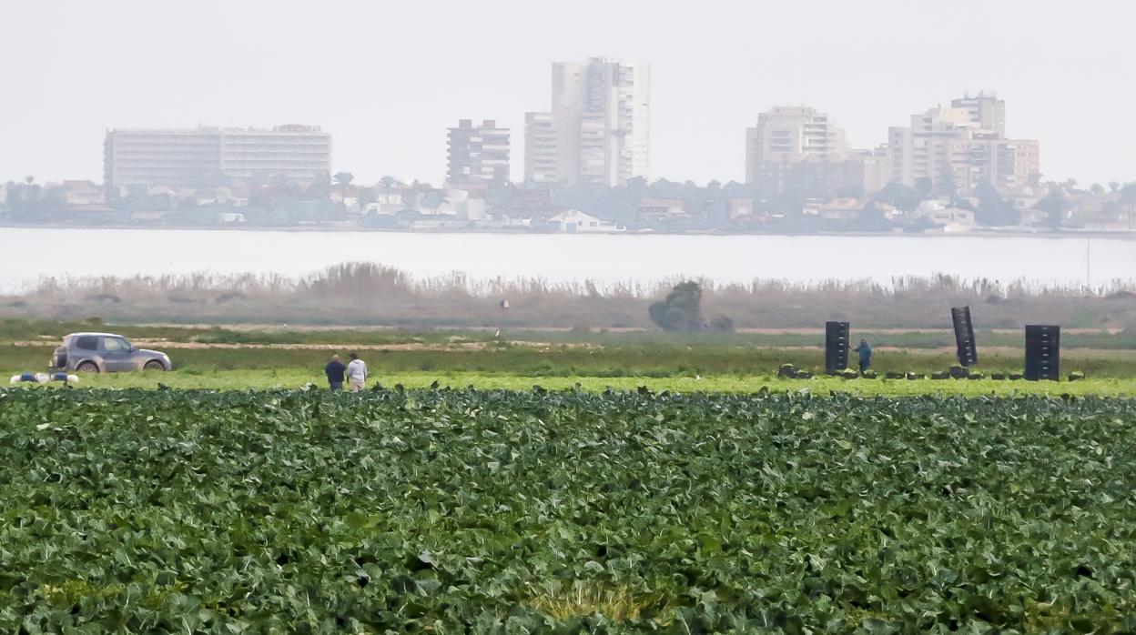 Murcia aprueba la Ley de Protección y Recuperación del mar Menor que limita los fertilizantes