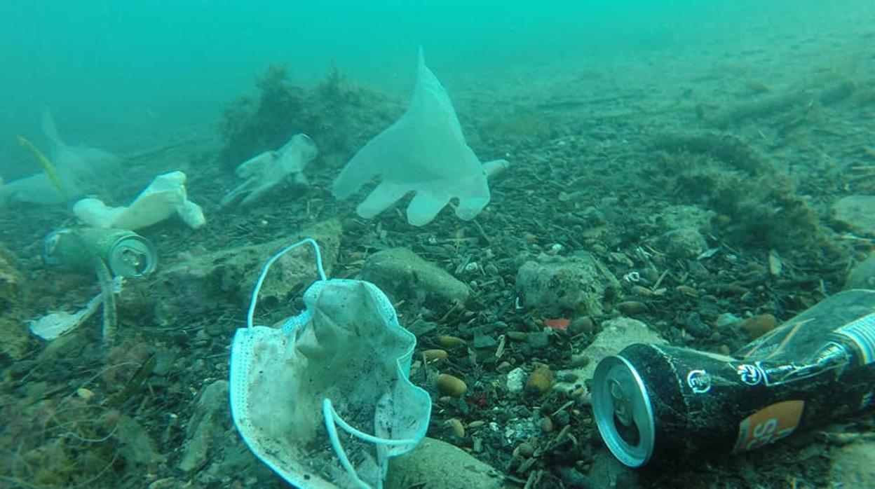 Una ONG ambientalista francesa en el mar Mediterráneo muestra máscaras y guantes en el fondo marino