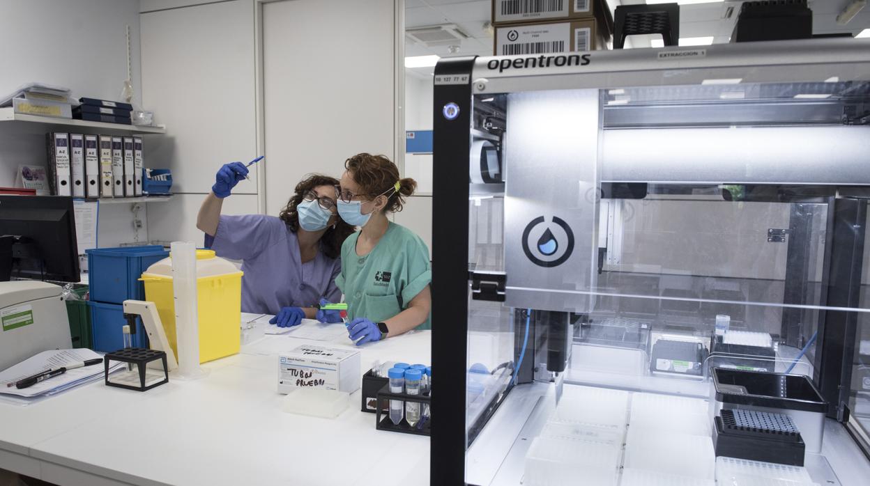 Las máquinas permiten trabajar en paraleloy realizar miles de test al día