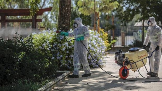 Un vecino de La Puebla del Río de 77 años, primera víctima mortal por el virus del Nilo