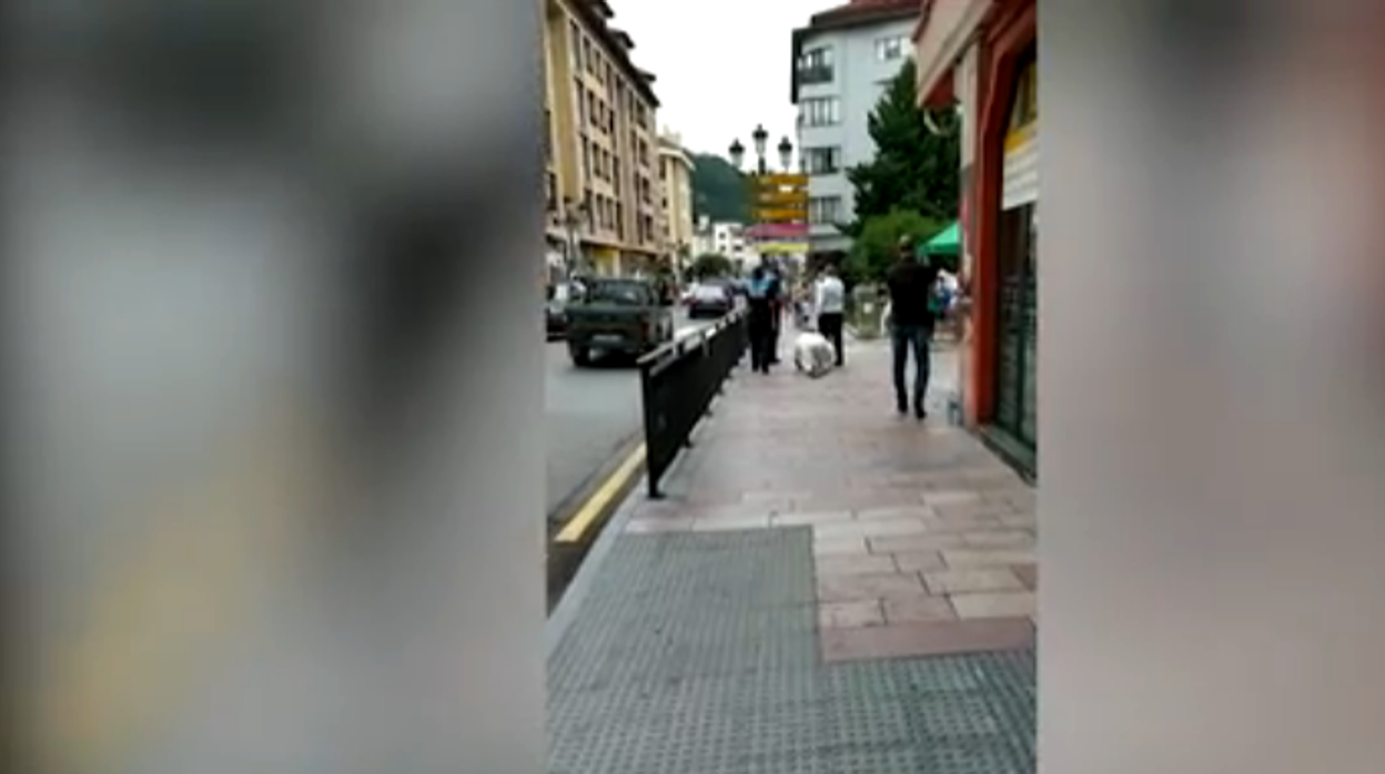 Denuncian a dos hombres por fingir ser perros para no ponerse la mascarilla en Cangas de Onís