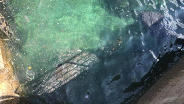 Segunda vez que se cierra la playa de San Lorenzo en Gijón al baño, esta vez por una mancha de gasoil