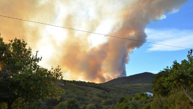 Crear paisajes menos inflamables reduciría un 50% el área quemada en los próximos 30 años