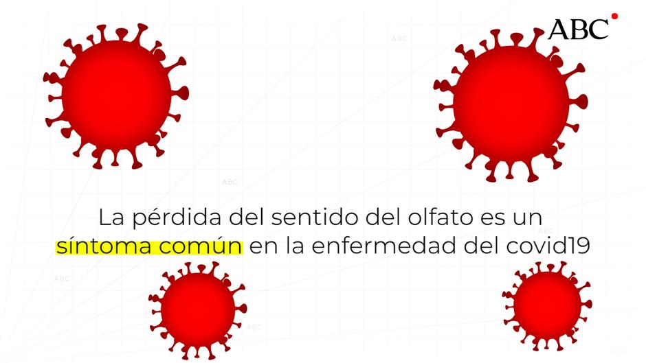 ¿Qué es la anosmia?