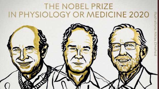 Harvey J. Alter, Michael Houghton y Charles M. Rice, premio Nobel de Medicina 2020 por el descubrimiento del virus de la hepatitis C