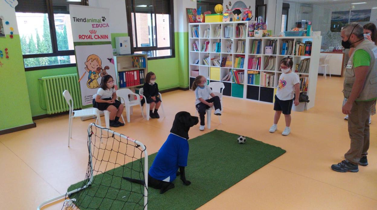 Jornada de concienciación animal para el público infantil