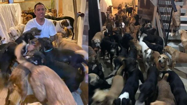 Un hombre acoge en su casa a 300 perros callejeros para protegerlos del huracán Delta