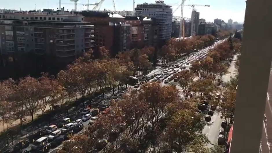 La panorámica que muestra la magnitud de la protesta en coche contra la «ley Celaá»