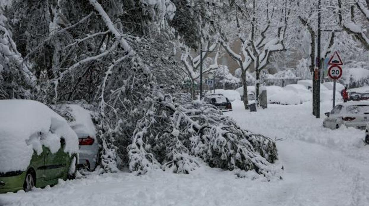 Coches sepultados nieve. Madrid