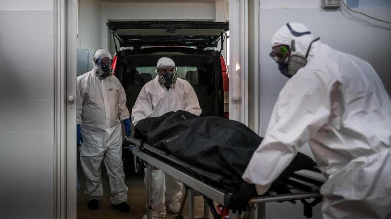 La acumulación de cadáveres ya se manifiesta en la saturación de los depósitos