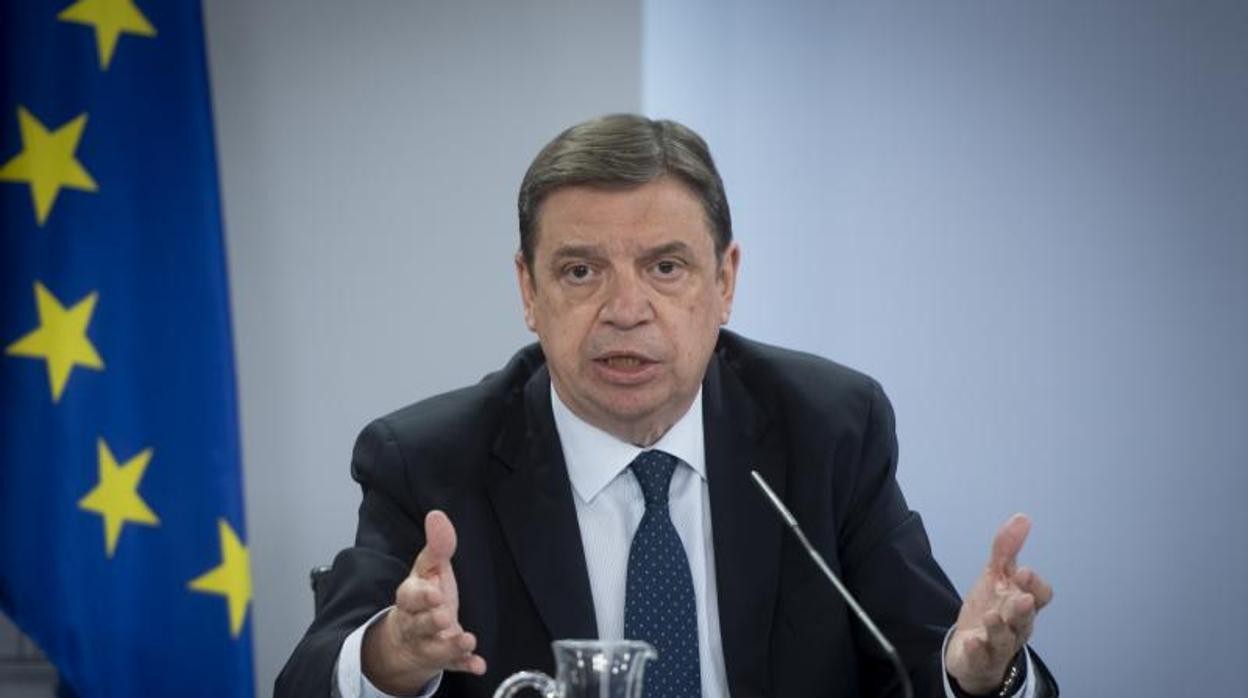 El ministro Luis Planas