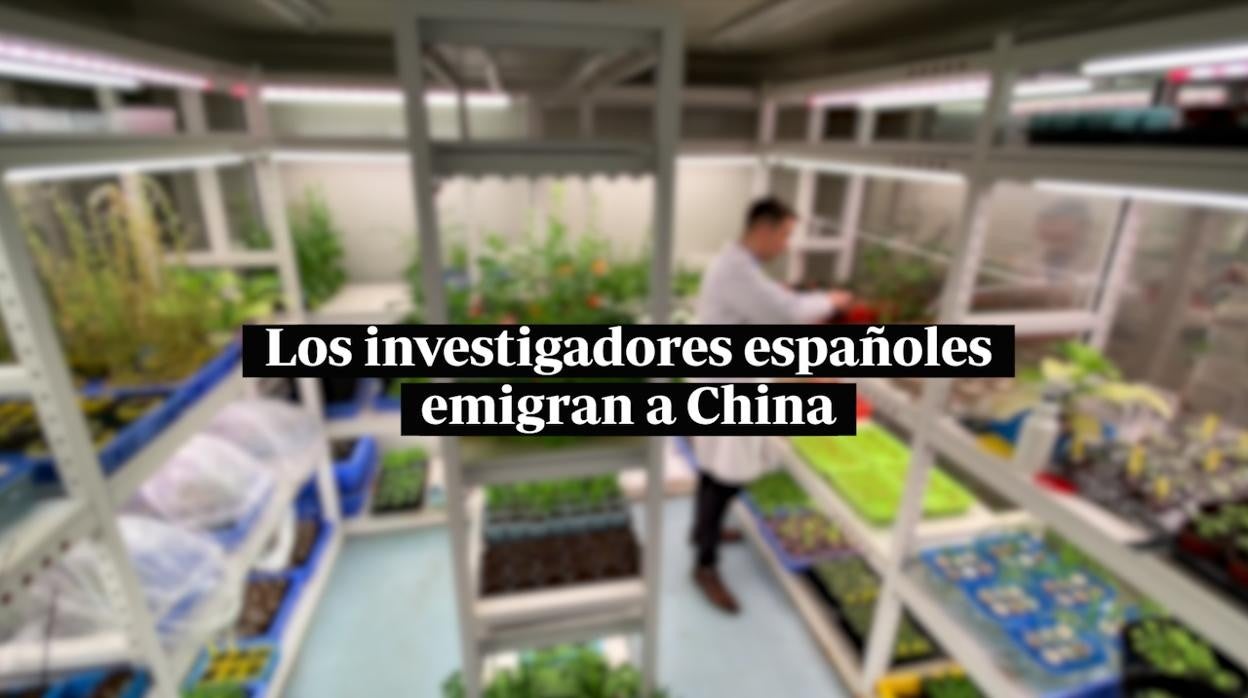 La ciencia española emigra a China