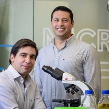 Pedro Madureira (izquierda) y Bruno Santos (derecha), directores del proyecto de la vacuna portuguesa contra el coronavirus