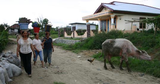 Las aves y otros animales conviven con las personas en pueblos del sudeste asiático y otros lugares en desarrollo como Kubu Simbelang, la aldea de Indonesia donde hubo contagios entre humanos de la gripe aviar H5N1 en 2006