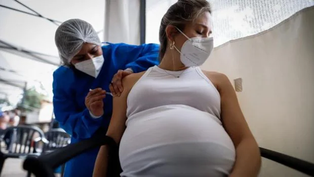 Los beneficios de vacunar a embarazadas superan a los riesgos