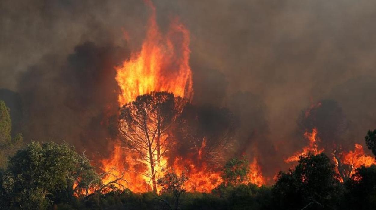 Incendio forestal de este martes alrededor de Cannet des Maures, en Francia