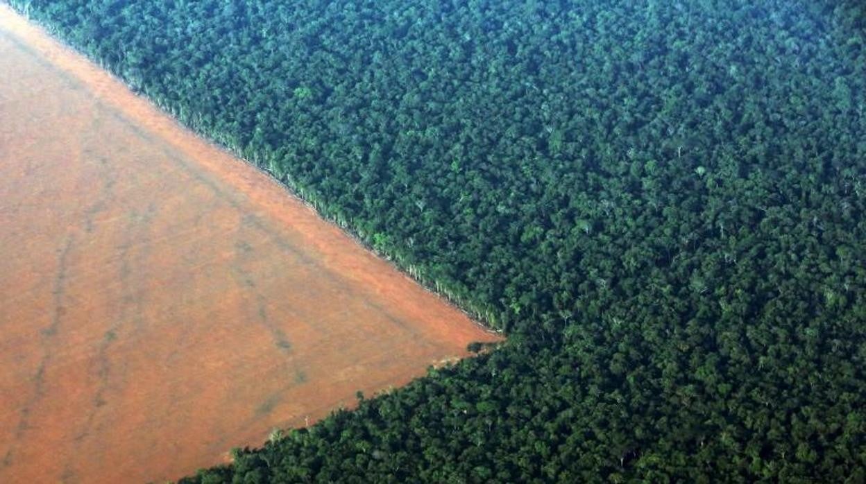 La selva tropical del Amazonas, bordeada por tierras deforestadas preparadas para cultivos de soja