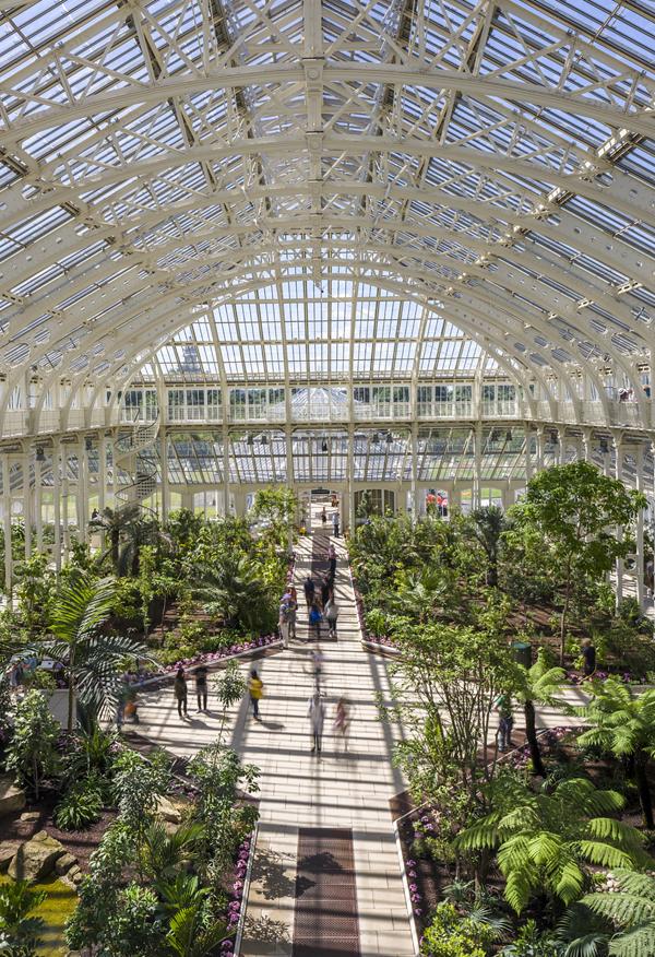 La Temperature House (arriba) es el espacio en el que se exhiben las plantas más grandes de Kew Gardens, un templo en el que se investigan las especies amenzazadas por el cambio climático
