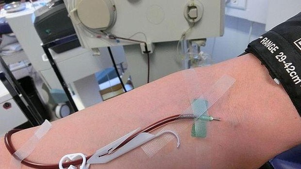 Alemania levanta las restricciones para donar sangre a los hombres homosexuales