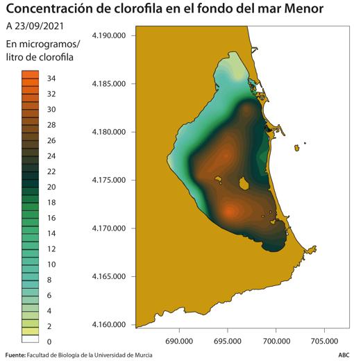 «Se expande una masa anóxica que acabará con todo el mar Menor»