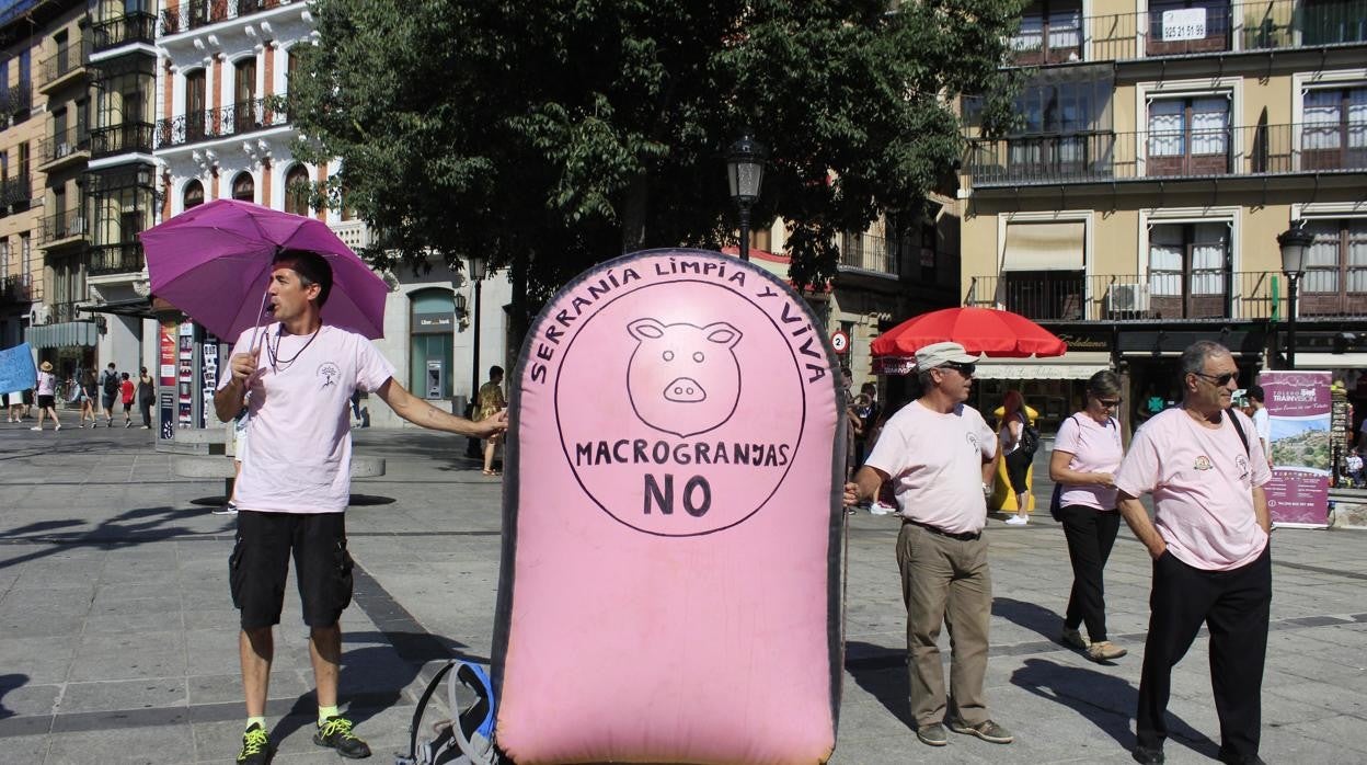 Concentración en contra de las macrogranjas de cerdos