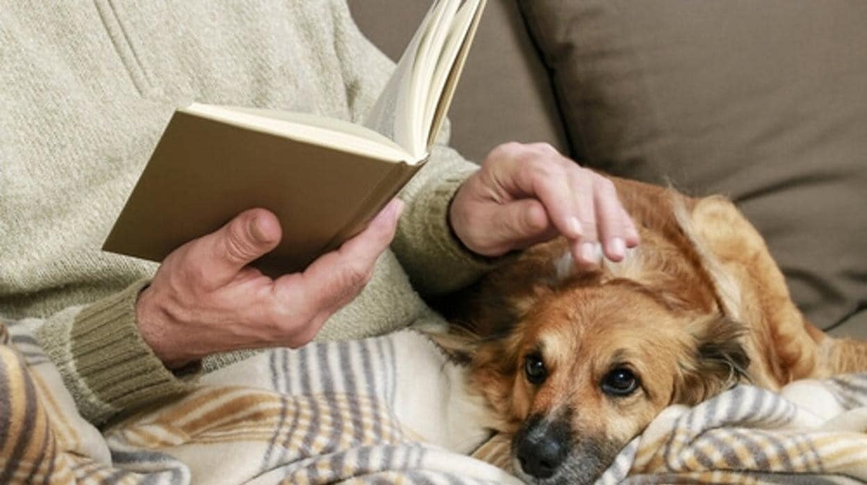 Las razas caninas más idóneas para las personas mayores