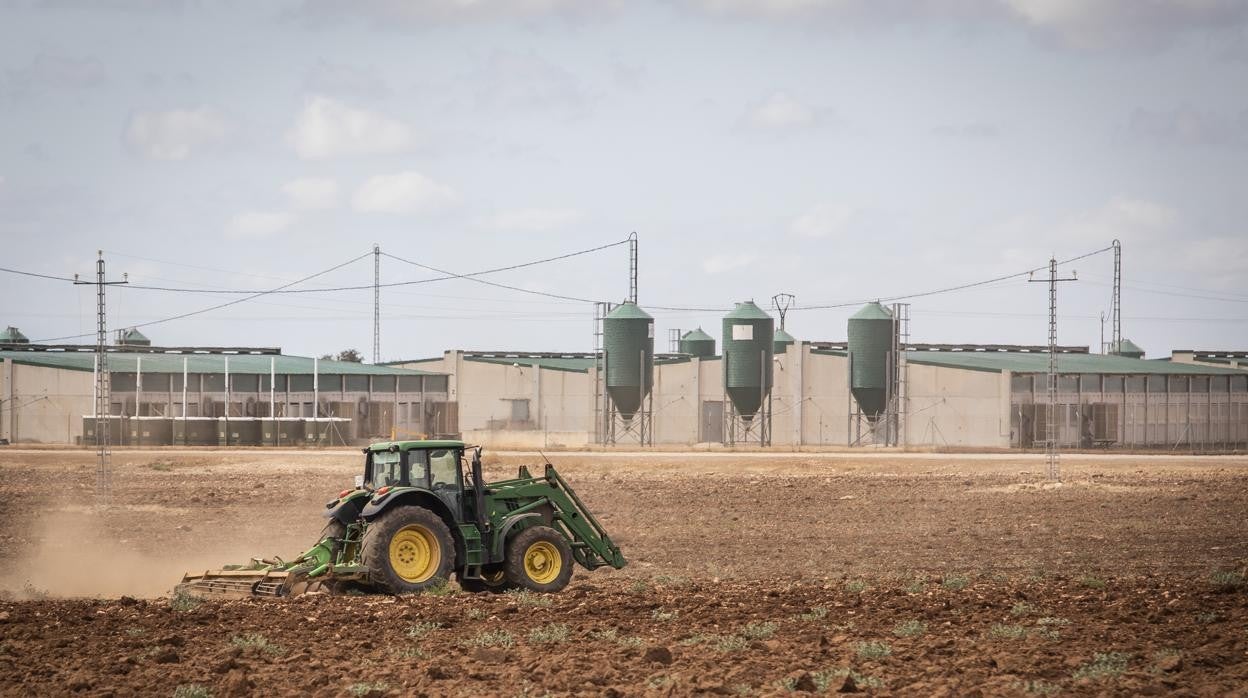 Macrogranja situada a las afueras de Castilléjar, en la provincia de Granada