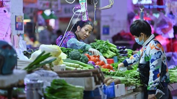 Últimas noticias del martes, 2 de noviembre del 2021 | Descubre toda la actualidad y última hora de sociedad