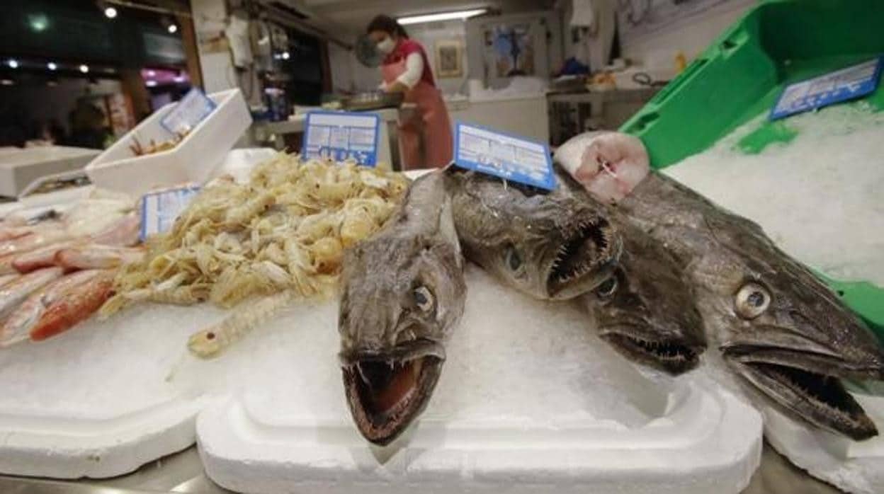 Congelar el pescado no basta para evitar el anisakis: así debes hacerlo