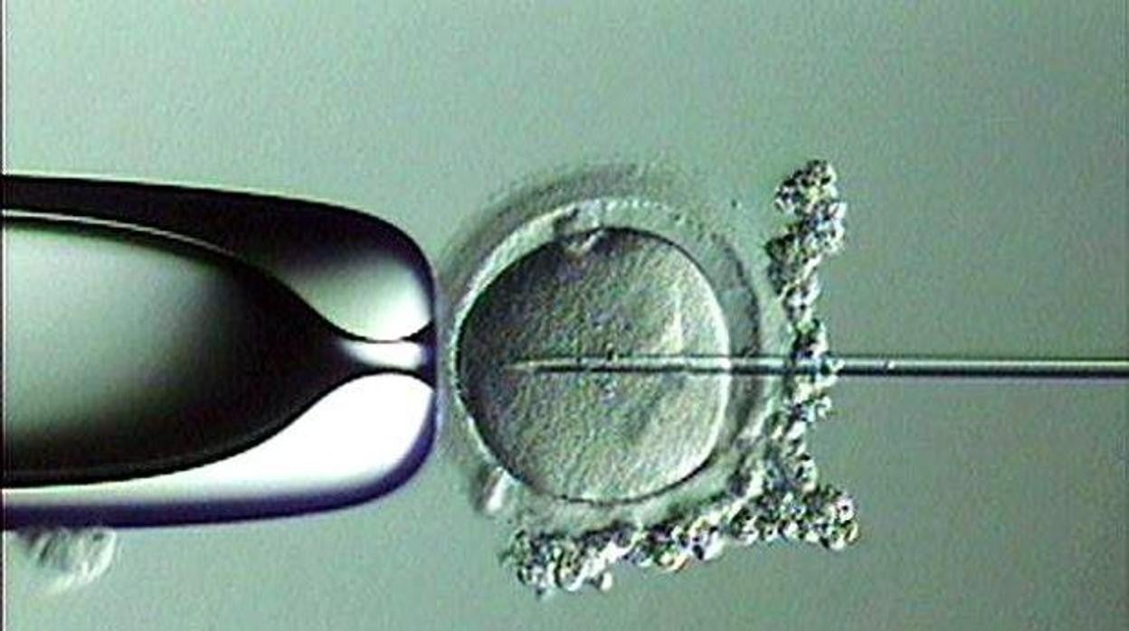 El hospital Elisabeth de Leiderdorp, en Holanda, donde ejerció Beek entre 1973 y 1986