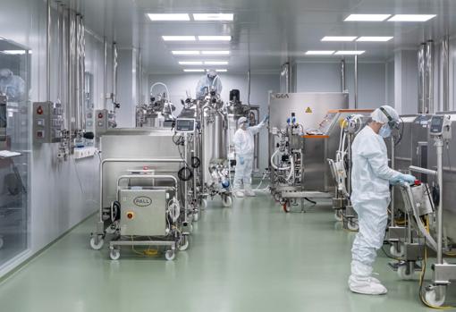 En esta etapa el antígeno ya depurado se mezcla con el adyuvante para aumentar la respuesta inmunológica. El elaborado que da lugar al suero definitivo se mezcla en grandes recipientes