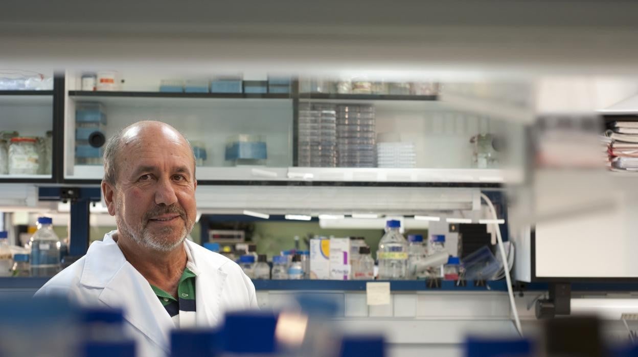 El investigador Mariano Esteban, en su laboratorio del CSIC