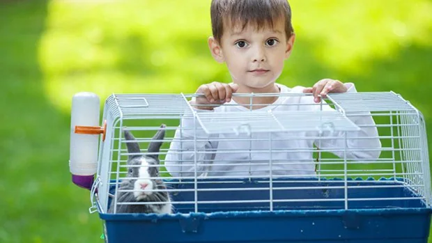Niños y mascotas: responsabilidad paso a paso