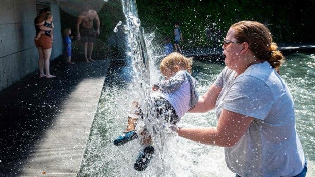 Científicos identifican las olas de calor más extremas registradas a nivel mundial