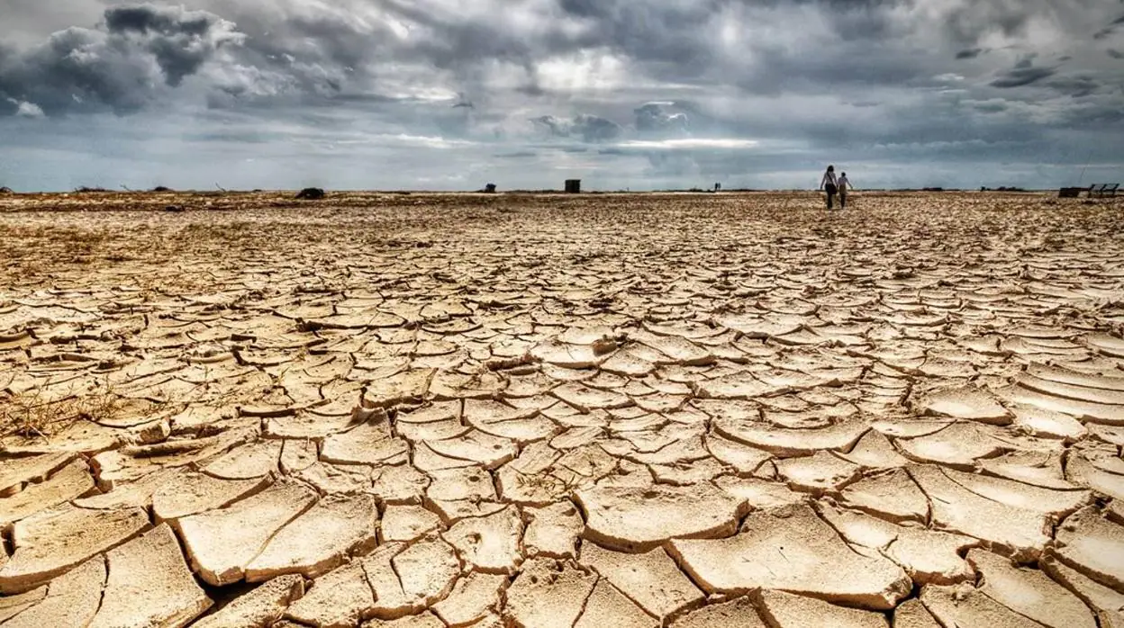 La sequía es una de las consecuencias del cambio climático