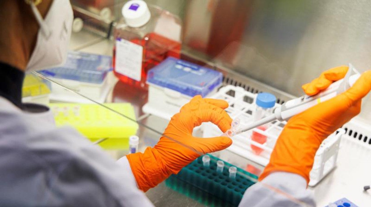 Un empleado de Bavarian Nordic trabaja en un laboratorio de la compañía en Martinsried, cerca de Munich