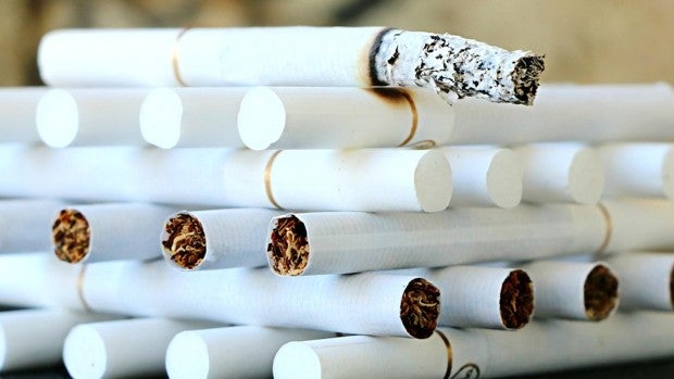 El tabaco, más que un problema de salud pública: cuesta 600 millones de árboles al año y 84 de toneladas de CO2