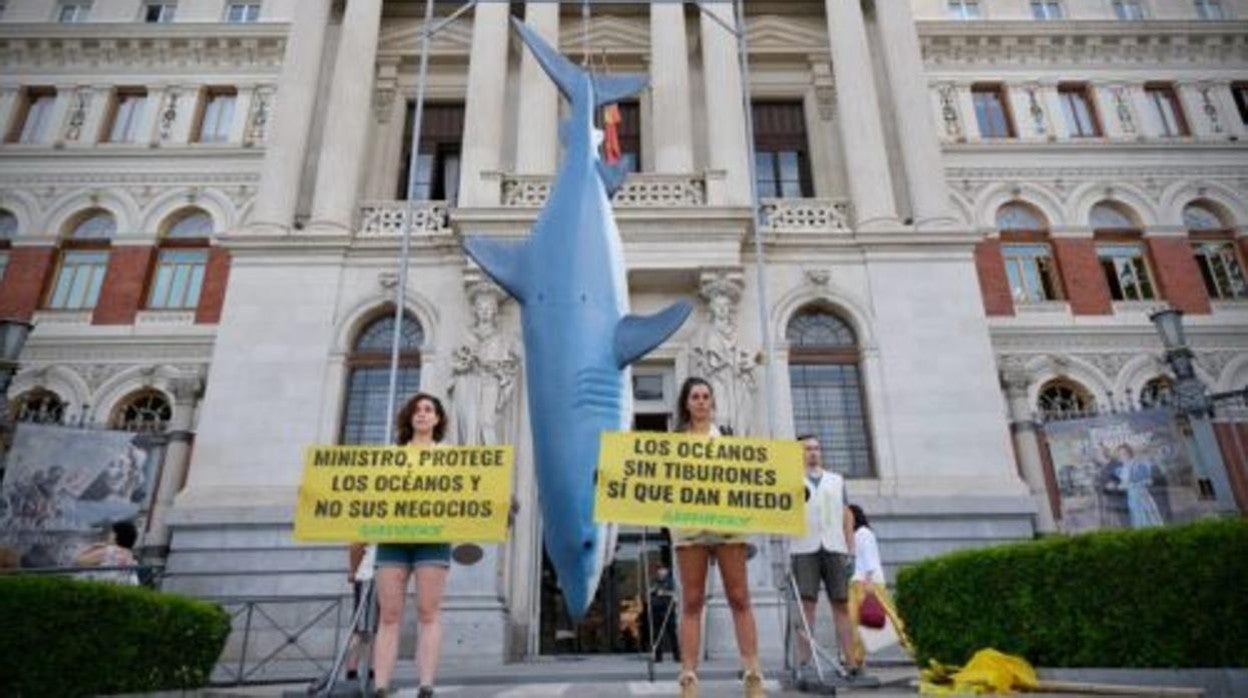 La reproducción a escala de un tiburón de 5 metros frente al Ministerio de Pesca