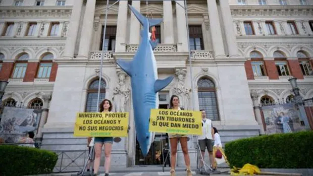 Activistas de Greenpeace cuelgan un tiburón frente al Ministerio de Pesca en protesta por el 'bluewashing'
