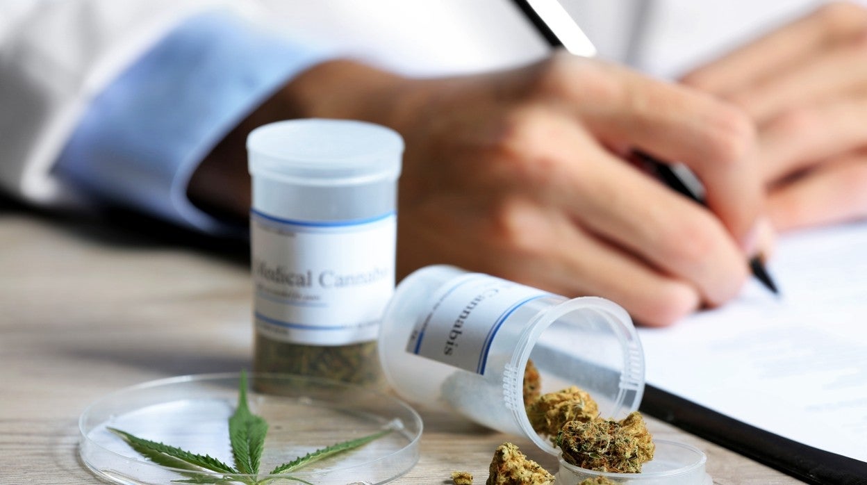 Un facultativo prescribe cannabis a un paciente