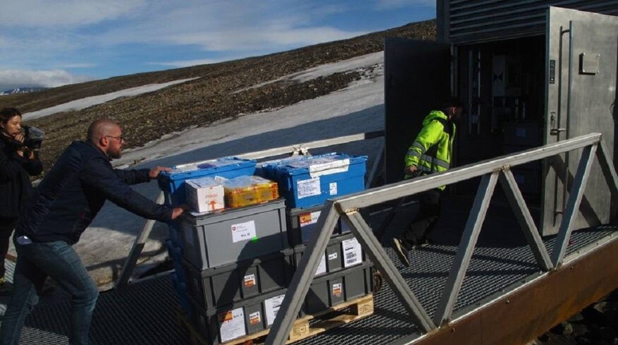 Cajas con semillas ingresando a la Bóveda Global de Semillas de Svalbard el 9 de junio de 2022