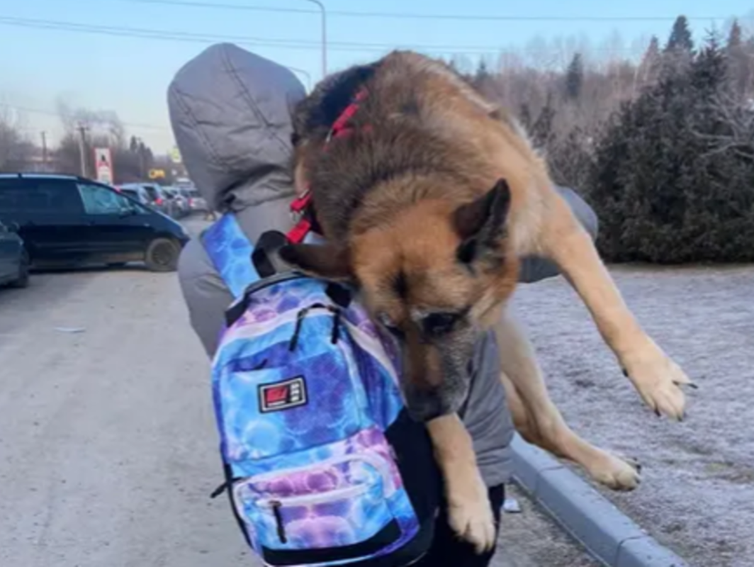 Polina, de 31 años, salió de Járkov en marzo sin dejar atrás a su perro