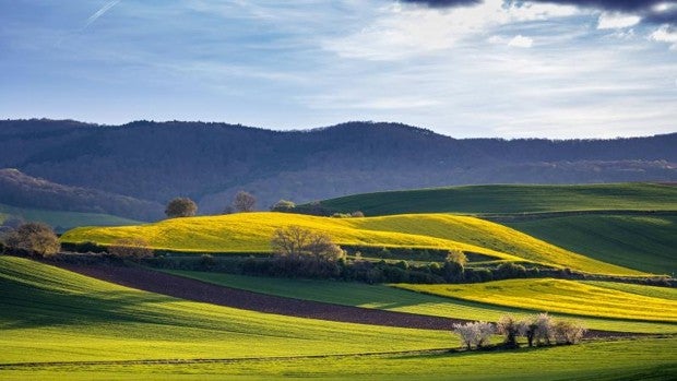 Siete provincias estarán en riesgo este lunes por temperaturas máximas, oleaje y tormenta