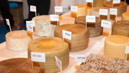 Selección de quesos