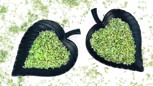 Lujo en grano, los mejores arroces del mundo