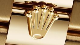 Imagen principal de la ficha