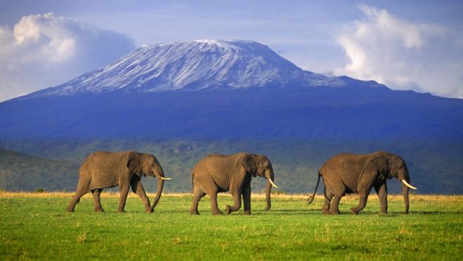 Monte Kilimanjaro