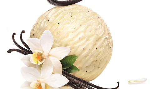 Helado de vainilla Bourbon de Madagascar